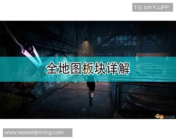 303神秘人揭开自由的面纱探索未知与自我解放的旅程